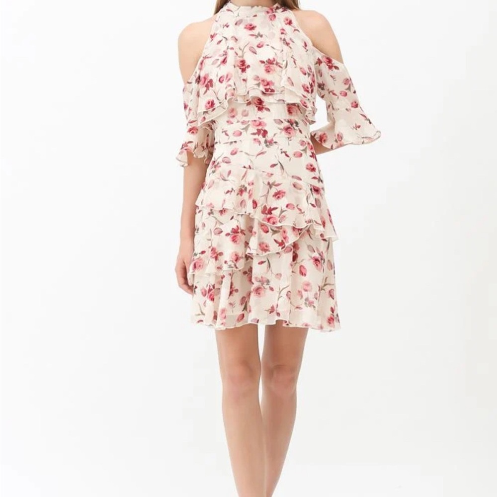 Floral Ruffle Off-Shoulder Dress - Picture 2 of 5